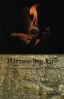 Harnessing Fire A Devotional Anthology in Honor of Hephaestus
