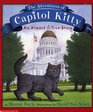 Adventures Of Capitol Kitty