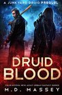 Druid Blood (Colin McCool, Bk 0.5)