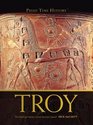 Troy The Myth and Reality Behind the Epic Legend