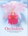 Orchideen The Royal Horticultural Society