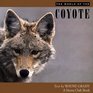 The World of the Coyote a Sierrra Club Book