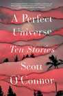 A Perfect Universe Ten Stories