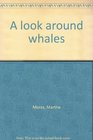 A look around whales