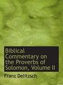 Biblical Commentary on the Proverbs of Solomon Volume II