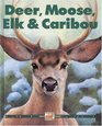 Deer Moose Elk  Caribou