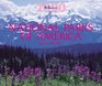 National Parks of America Millennium 2000