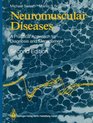 Neuromuscular Diseases A Practical Approach to Diagnosis and Management