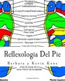 Reflexologia Del Pie Una Alternative Natural Para Cuidar La Salud