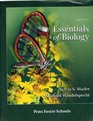 Essentials of Biology  Custom Edition