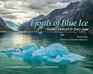 Fjords of Blue Ice Alaska's Endicott  Tracy Arm