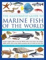The Illustrated Guide to Marine Fish of The World A Visual Directory of Sea Life Featuring Over 750 Fabulous Illustrations