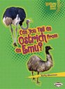 Can You Tell an Ostrich from an Emu