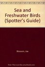 Sea and Freshwater Birds