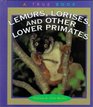 Lemurs Lorises and Other Lower Primates