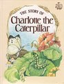 Story of Charlotte Caterpillar