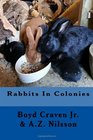 Rabbits in Colonies (Urban Rabbit Project,Vol 3)
