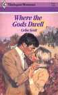 Where the Gods Dwell (Harlequin Romance, No 2735)