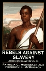 The Rebels Against Slavery  Story Of  American Slave Revolts