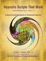 Hypnotic Scripts That Work The Breakthrough Book Version 70