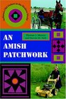 An Amish Patchwork Indiana's Old Orders In The Modern World