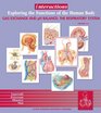Interactions Exploring the Functions of the HumanBody/Gas Exchange and pH Balance The Respiratory 20