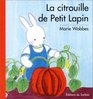 La Citrouille de Petit Lapin