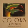 Colors in the Wild