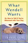 What Wendell Wants  Or How to Tell If You're Obsessed with Your Dog