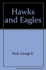 Hawks  Eagles