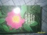 A Book of Comfort An Anthology