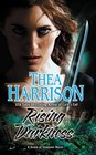 Rising Darkness (Game of Shadows, Bk 1)