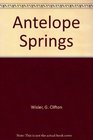 Antelope Springs