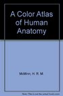 A Color Atlas of Human Anatomy