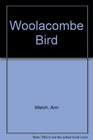 Woolacombe Bird