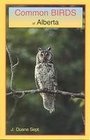 Common Birds of Alberta 2004 publication