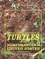 Status and Conservation of Turtles of the Northeastern United States A Symposium