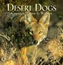 Desert Dogs Coyotes Foxes  Wolves