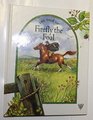 The Tale of Firefly the Foal