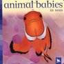 Animal Babies in Seas