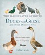 The Illustrated Guide to Ducks and Geese and Other Domestic Fowl How to Choose Them How to Keep Them