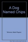 A Dog Named Chips