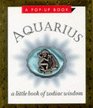 Aquarius The Water Carrier  A PopUp Book