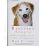 Rescuing Sprite A Dog Lover's Story of Joy and Anguish 2007 publication