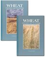 Wheat Chemistry and Technology