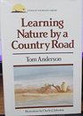 Learning Nature by a Country Road