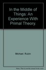 In the middle of things An experience with primal theory