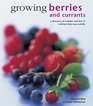 Growing Berries and Currants A Directory of Varieties and How to Cultivate Them Successfully