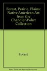 Forest Prairie Plains Native American Art from the ChandlerPohrt Collection