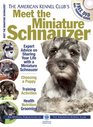 Meet the Miniature Schnauzer